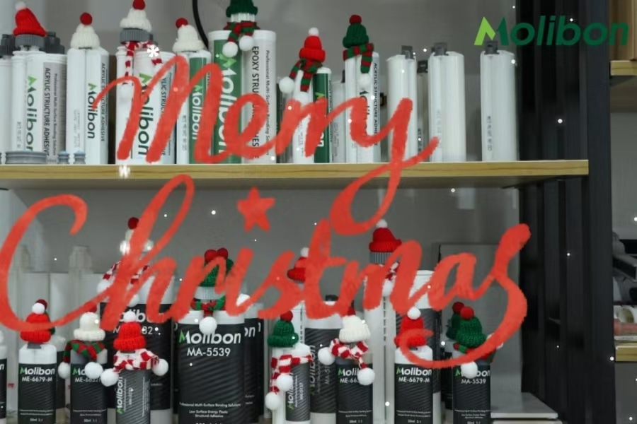 메리 크리스마스 그리고 새해 복 많이 받으세요